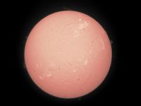 Sonne H-Alpha mit Protuberanzen und Filamenten 23.4.2024