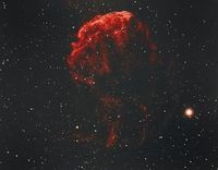 IC443 - der Quallennebel (yellifish-nebula) vom 28.3.2022